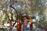 Turkey2014_31
