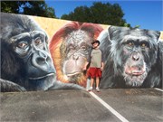 VeniceFL2014_2