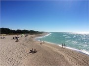 VeniceFL2014_6