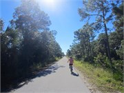 VeniceFL2014_8