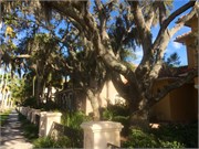 VeniceFL2014_9