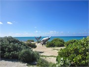 GranTurk2014_12