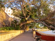 SanJuan2014_27