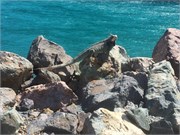 StThomas2014_9