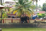 263_Cochin_a56