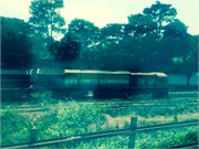 355_Goa_iP108