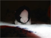 a6_HudsonPix