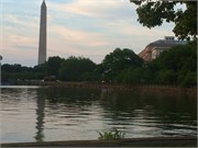 10_Washington