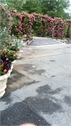13_LongwoodGardens