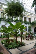 15_LongwoodGardens