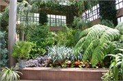 21_LongwoodGardens