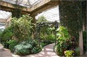 22_LongwoodGardens
