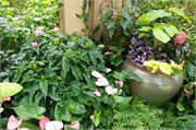23_LongwoodGardens