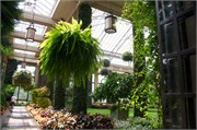 24_LongwoodGardens