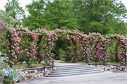 2_LongwoodGardens