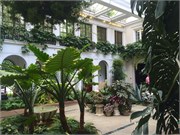 38_LongwoodGardens