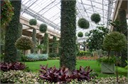 40_LongwoodGardens