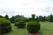 46_LongwoodGardens