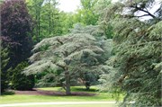 53_LongwoodGardens
