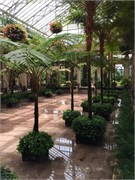 59_LongwoodGardens