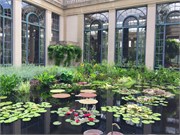 62_LongwoodGardens