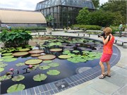 63_LongwoodGardens