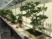 64_LongwoodGardens