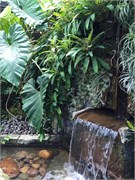 65_LongwoodGardens