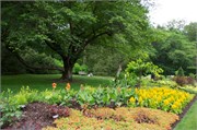 6_LongwoodGardens