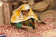 27_Dhaka-Market2015_46
