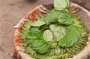 Dhaka-Market2015_18