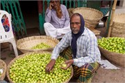 Dhaka-Market2015_35