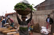 Dhaka-Market2015_43