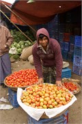 Dhaka-Market2015_64