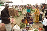 Dhaka-Market2015_77