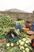 Dhaka-Market2015_92