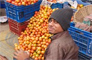 Dhaka-Market2015_98
