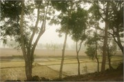 Dhaka-to-Rangpur_14