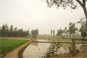 Dhaka-to-Rangpur_20