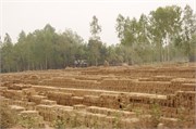 Dhaka-to-Rangpur_22