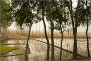 Dhaka-to-Rangpur_24