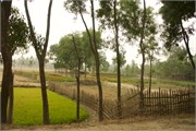 Dhaka-to-Rangpur_25