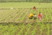 Dhaka-to-Rangpur_28