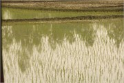 Dhaka-to-Rangpur_29