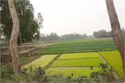 Dhaka-to-Rangpur_43