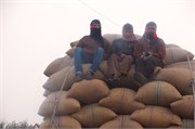 Dhaka-to-Rangpur_48