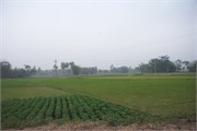 Dhaka-to-Rangpur_51