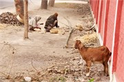 Bangladesh2015_1