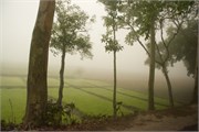 Bangladesh2015_3