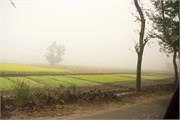 Bangladesh2015_38